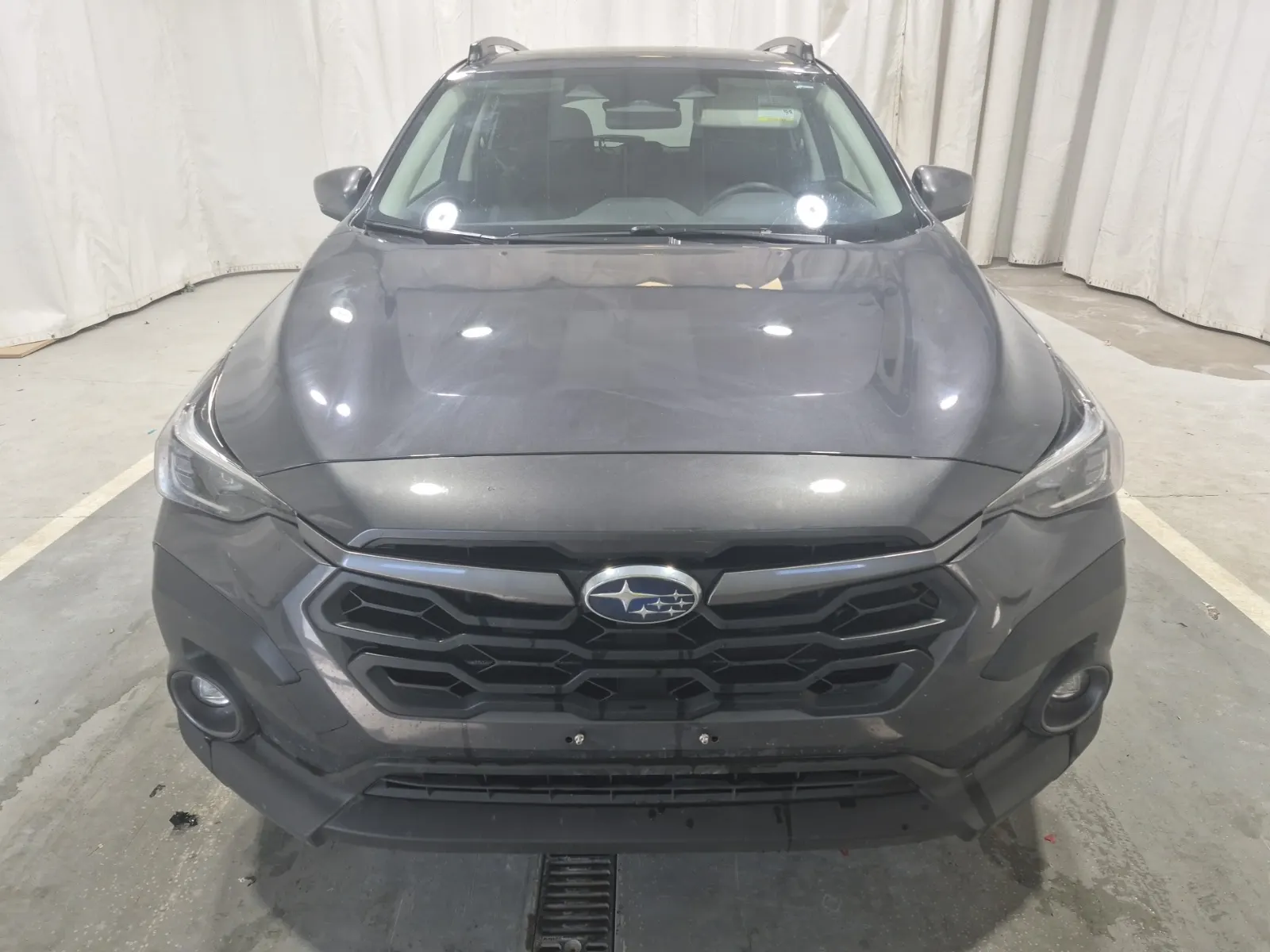 Full Front Photo