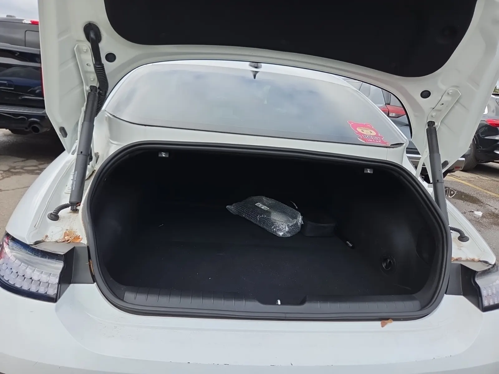 Cargo Area Photo