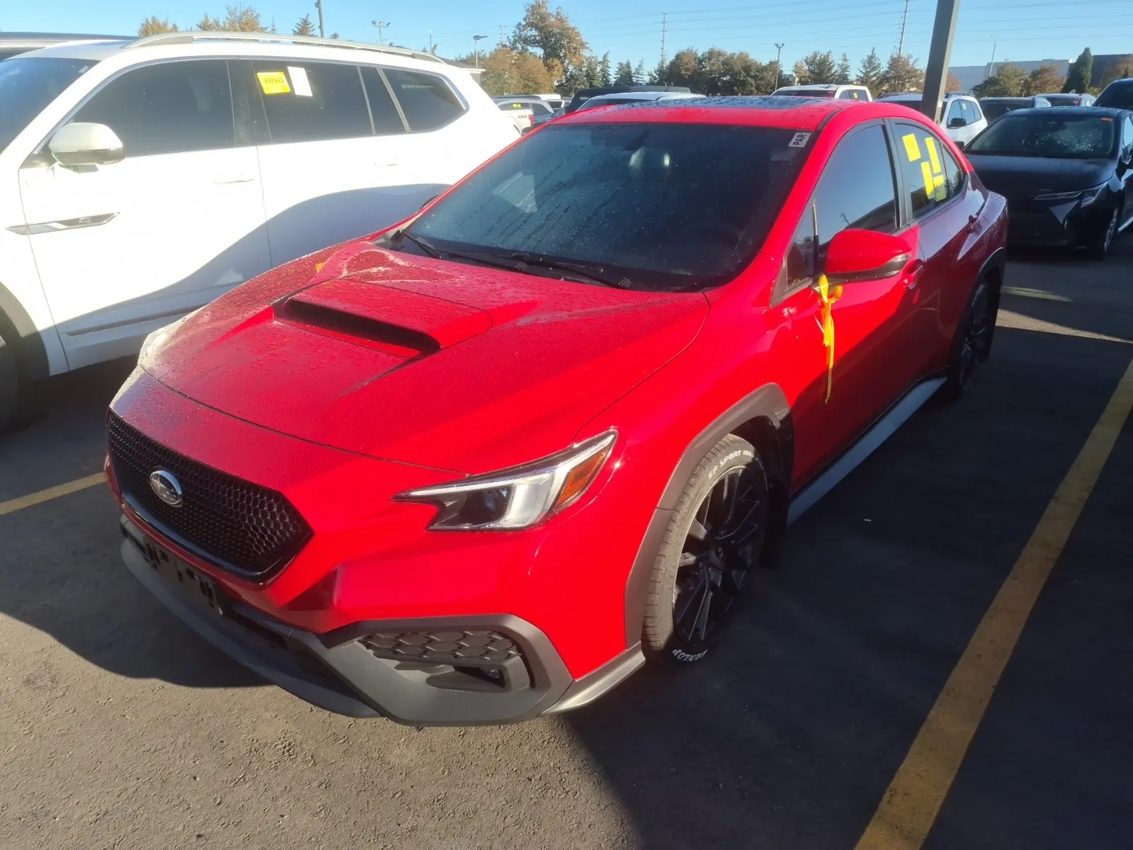 2023 Subaru WRX