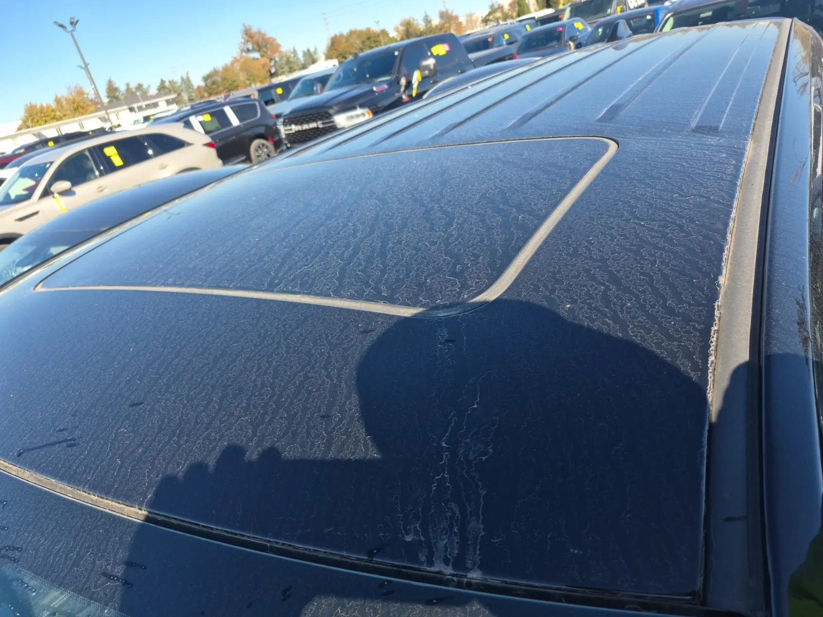 Exterior Roof Photo
