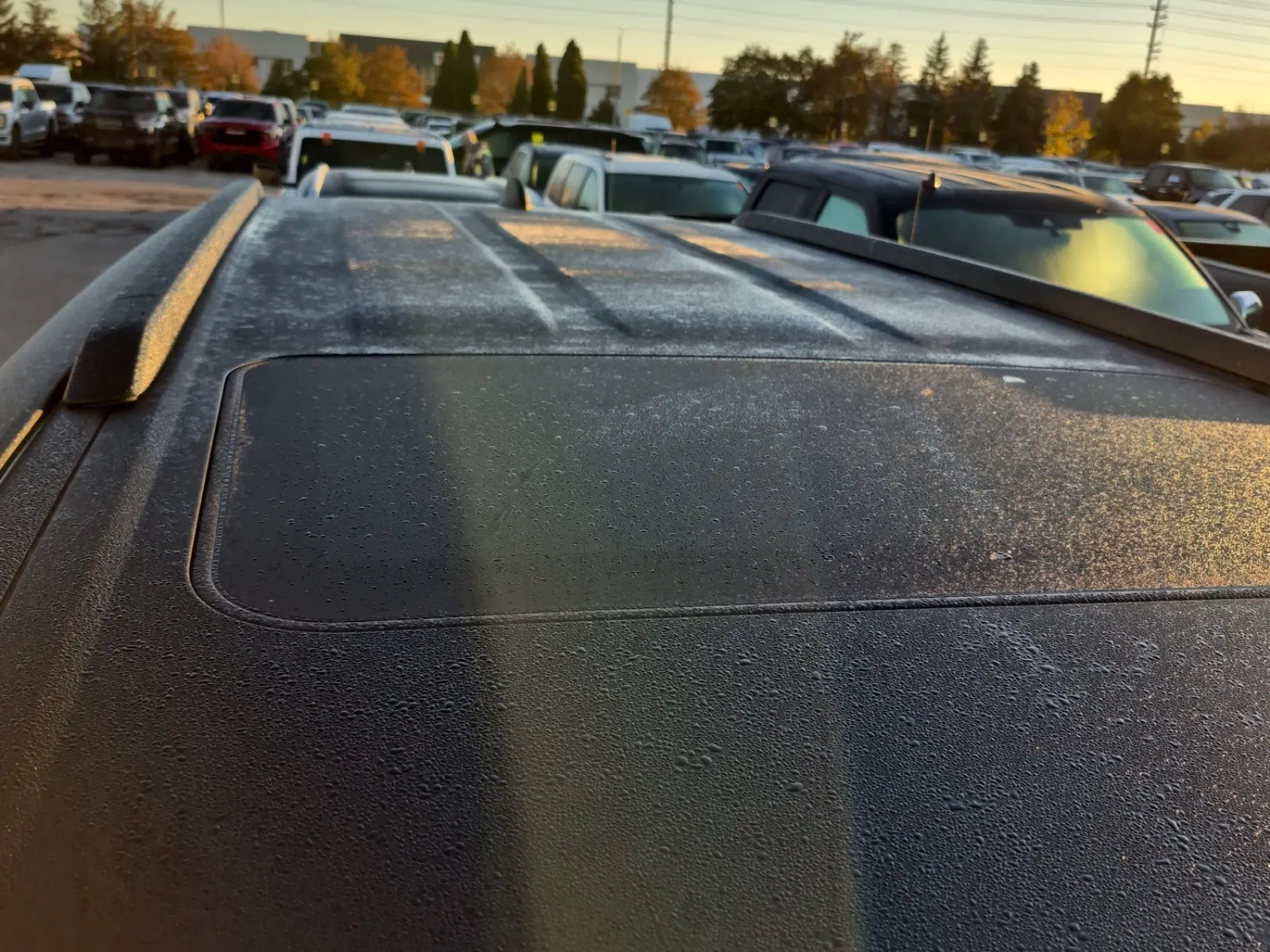 Exterior Roof Photo