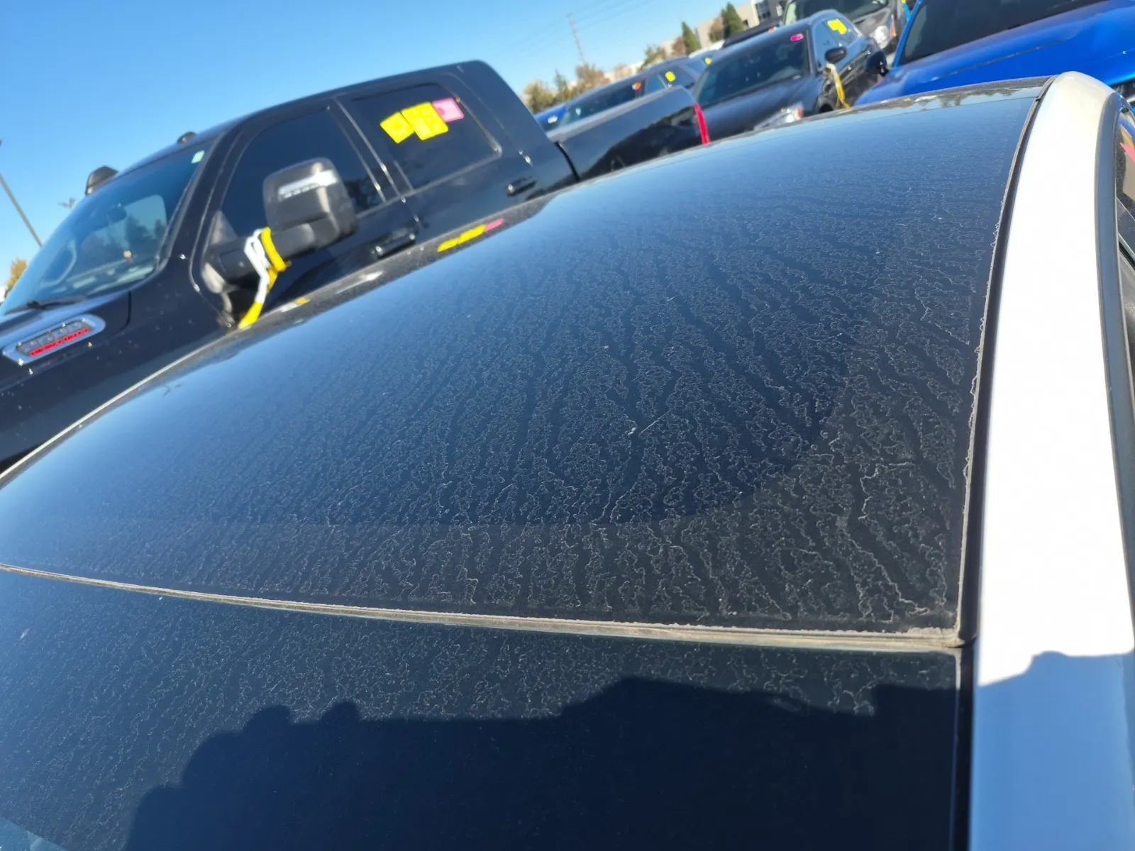 Exterior Roof Photo