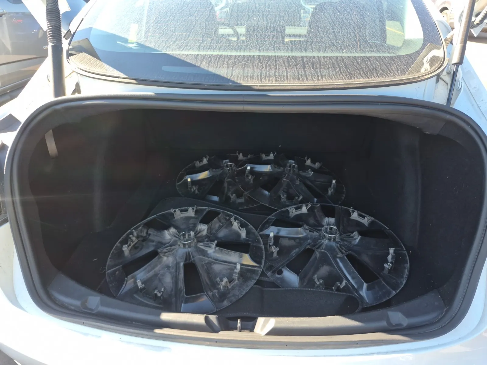 Cargo Area Photo