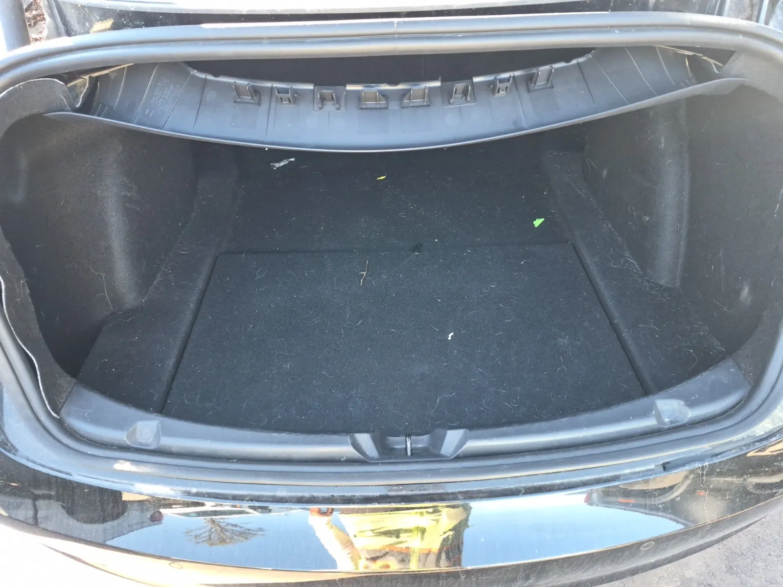 Cargo Area Photo