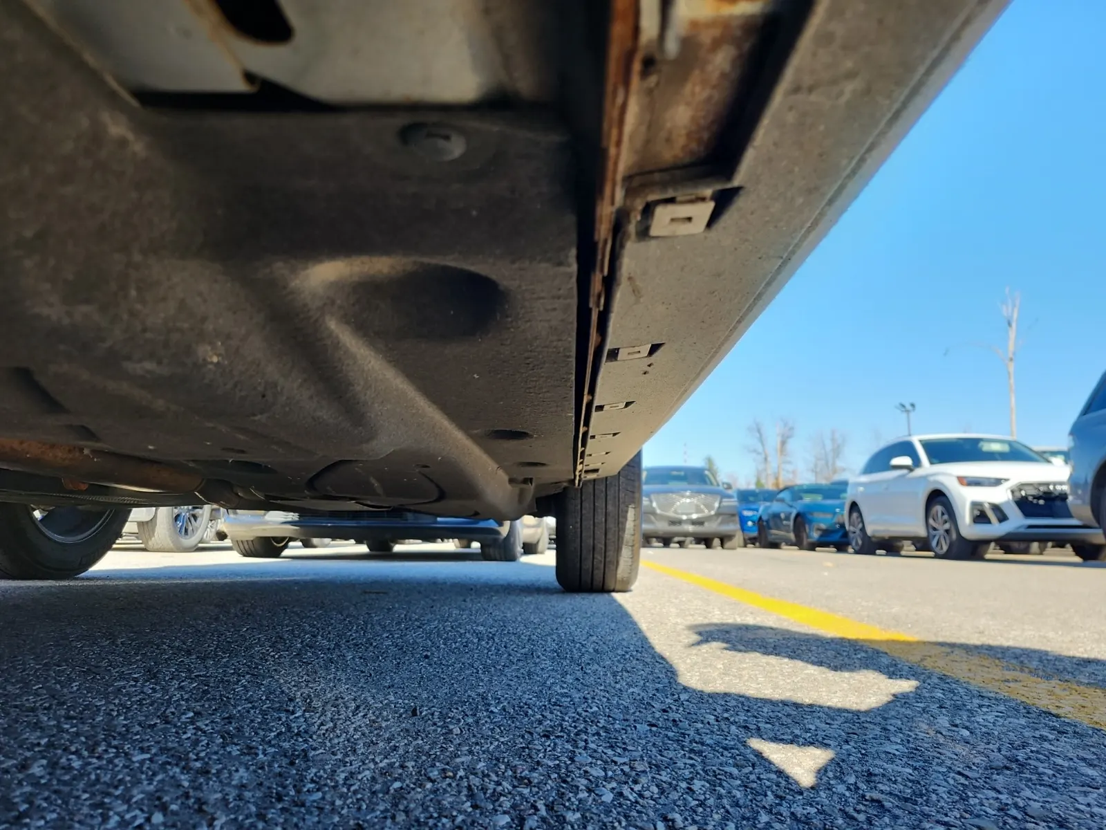 Undercarriage - Driver Photo