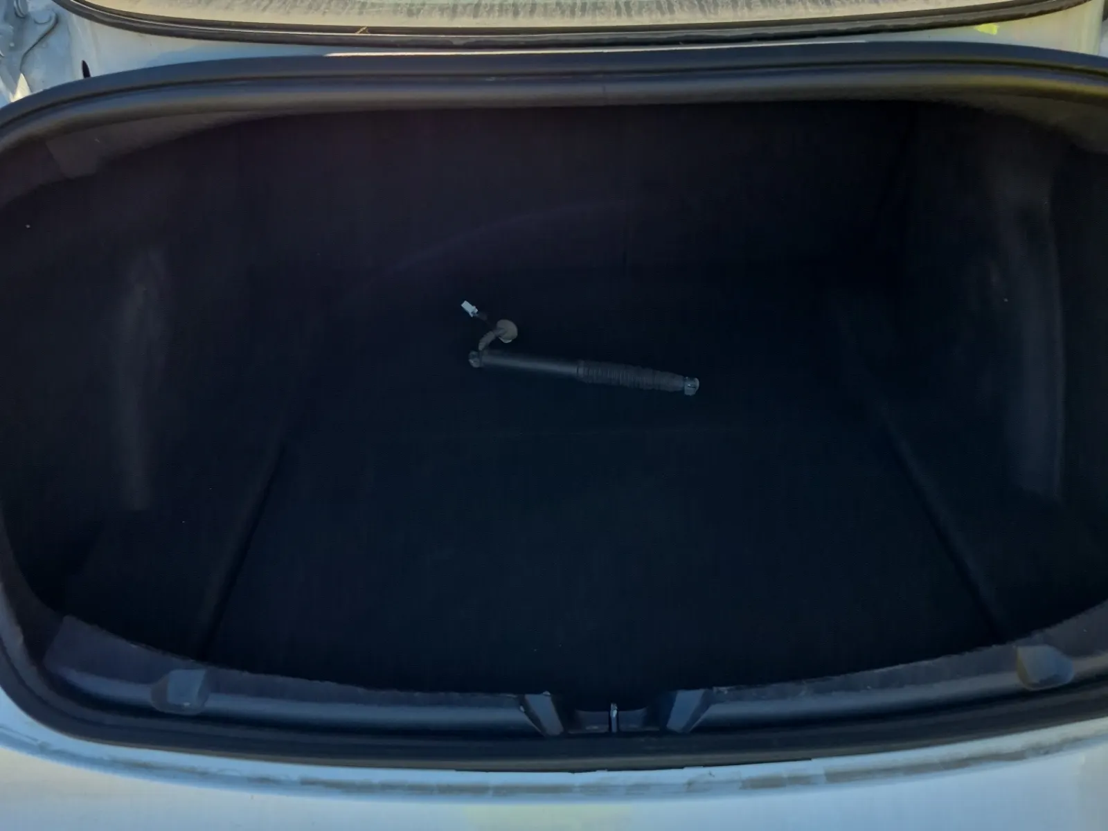 Cargo Area Photo