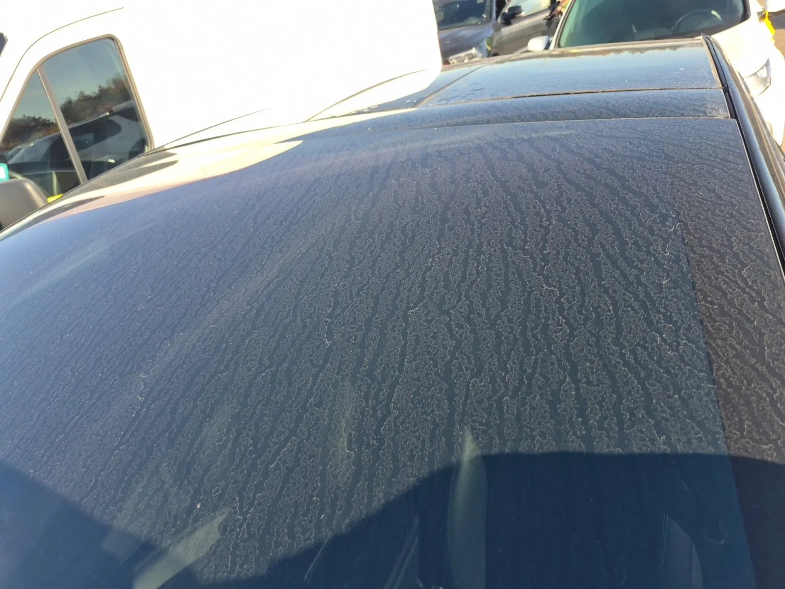 Exterior Roof Photo
