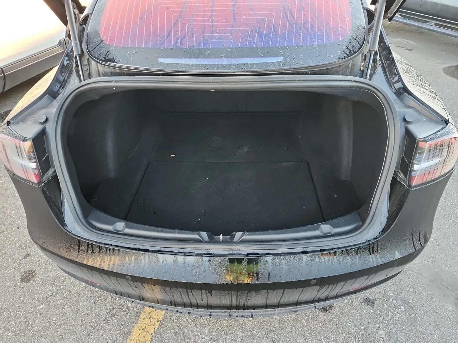Cargo Area Photo