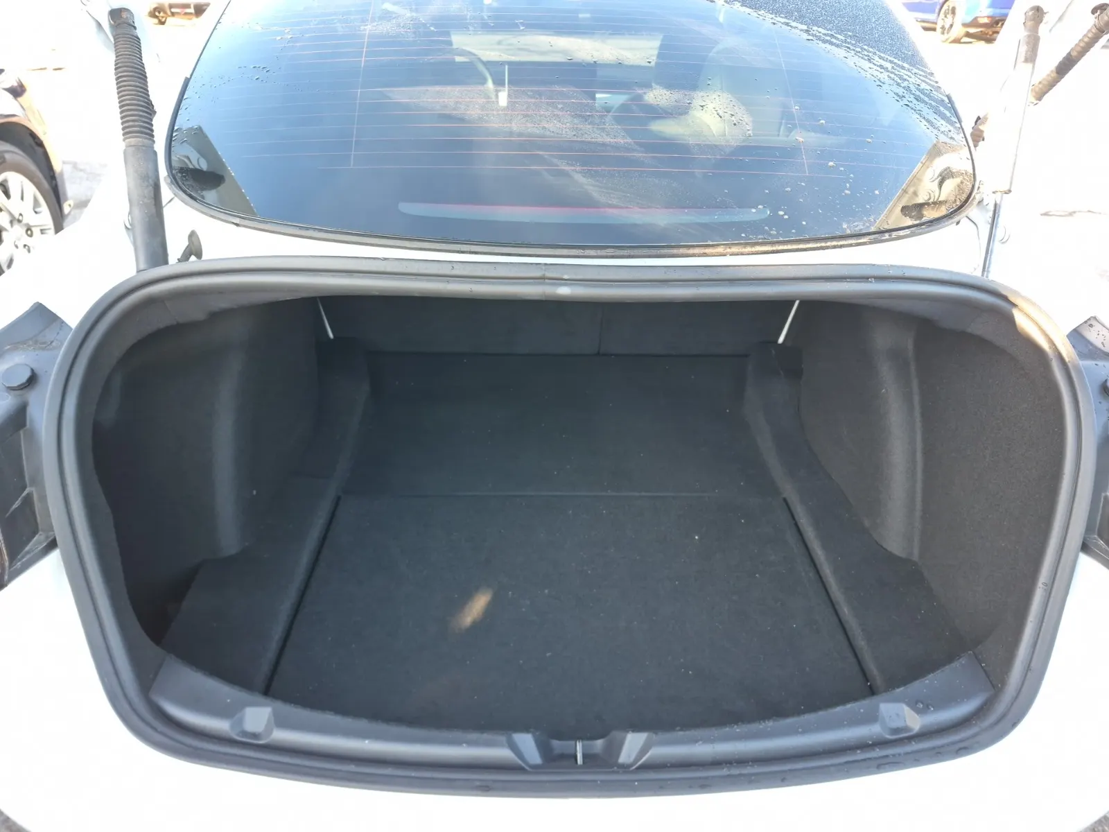 Cargo Area Photo