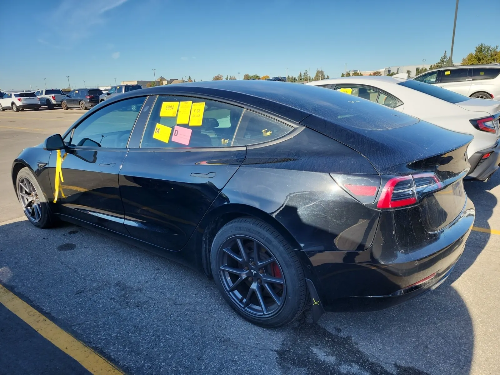 Driver Rear 3/4 Photo