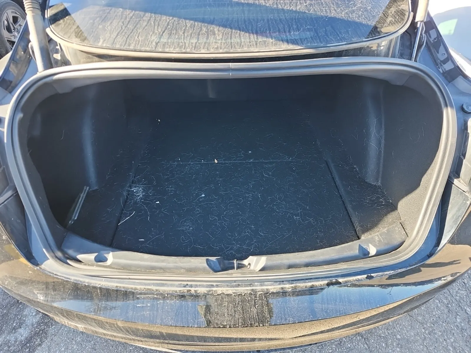 Cargo Area Photo