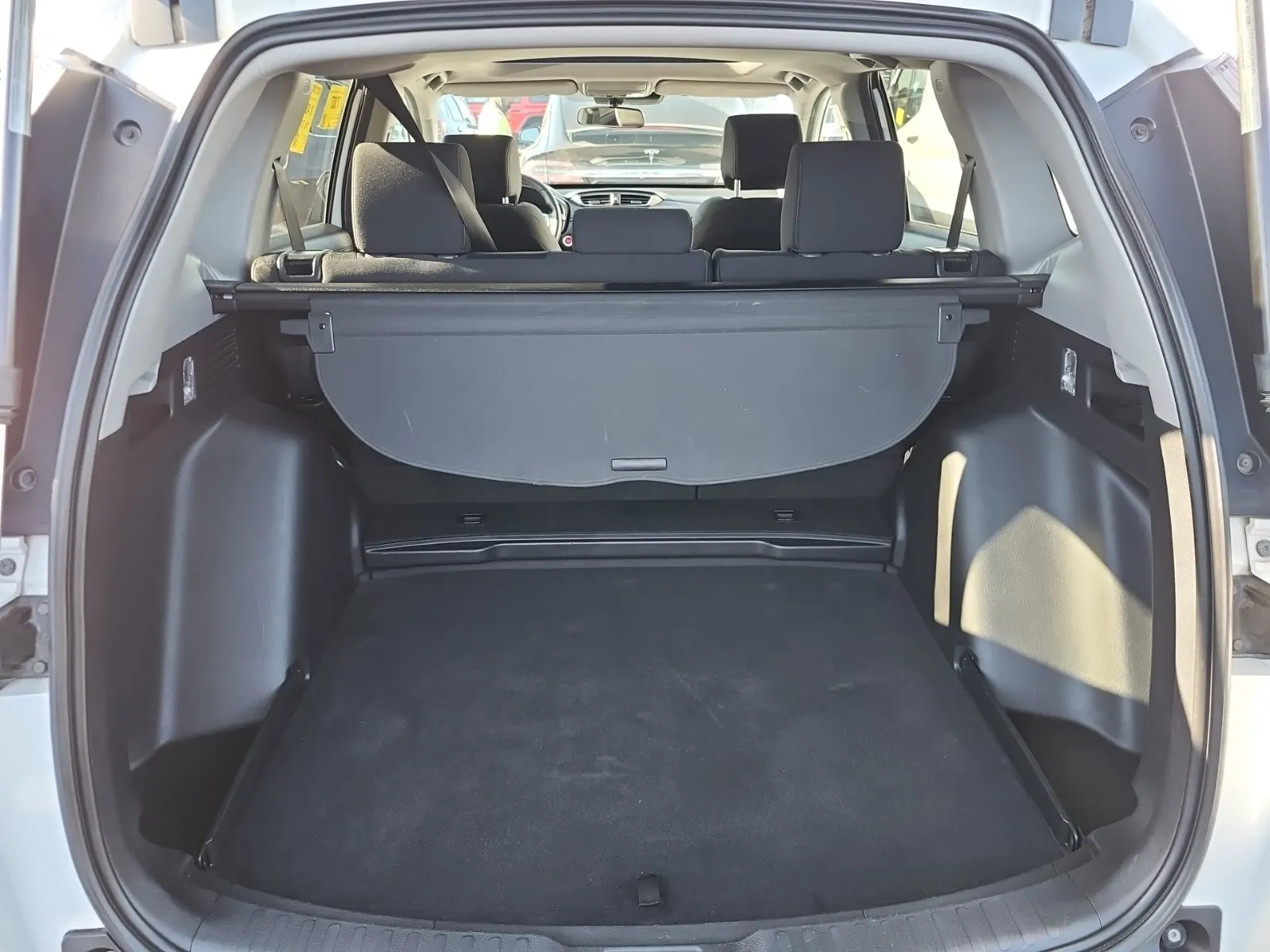 Cargo Area Photo