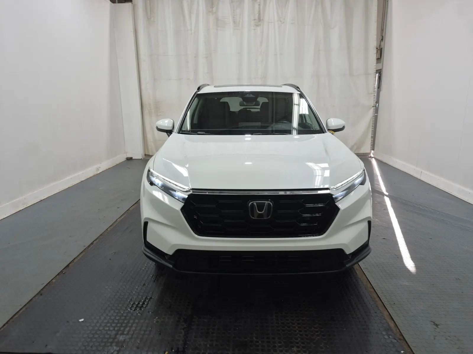Full Front Photo