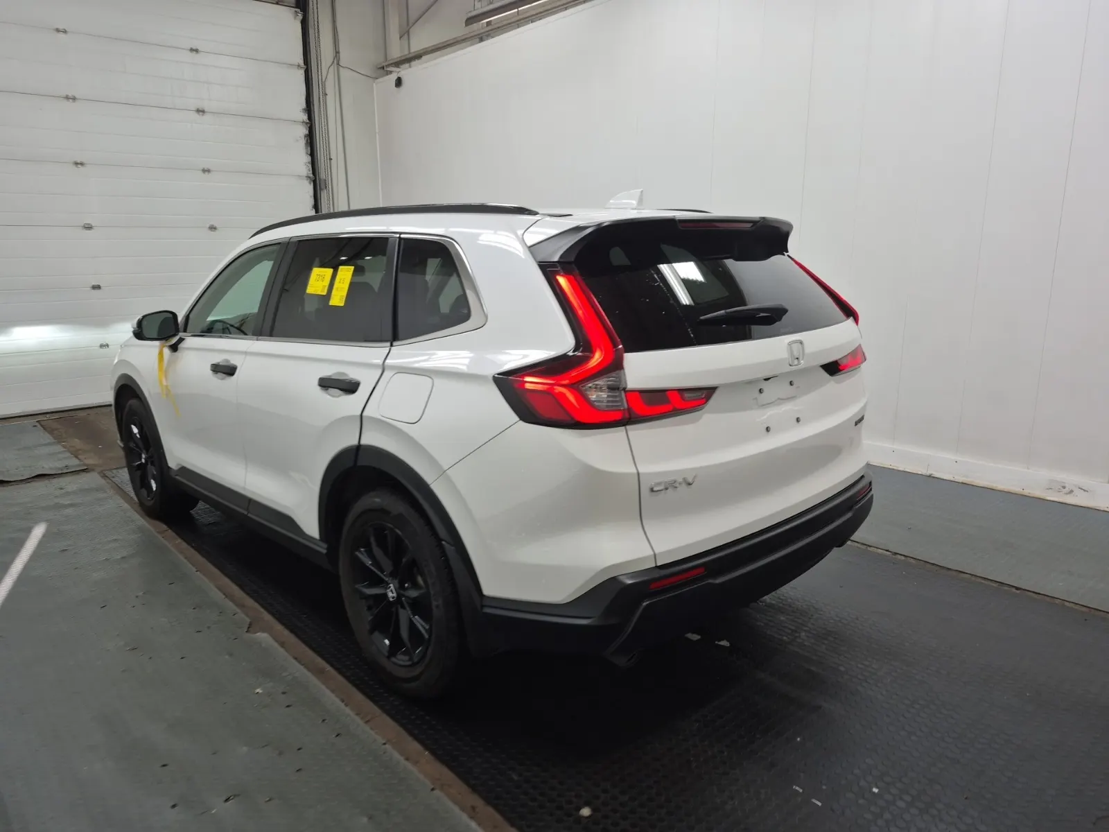 Driver Rear 3/4 Photo