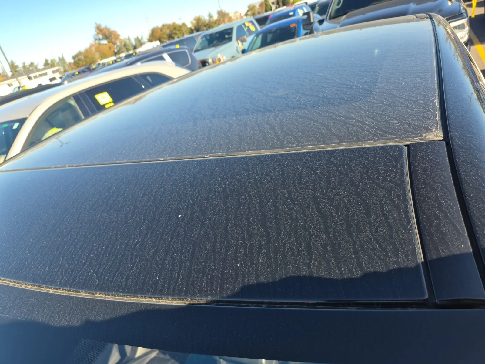 Exterior Roof Photo