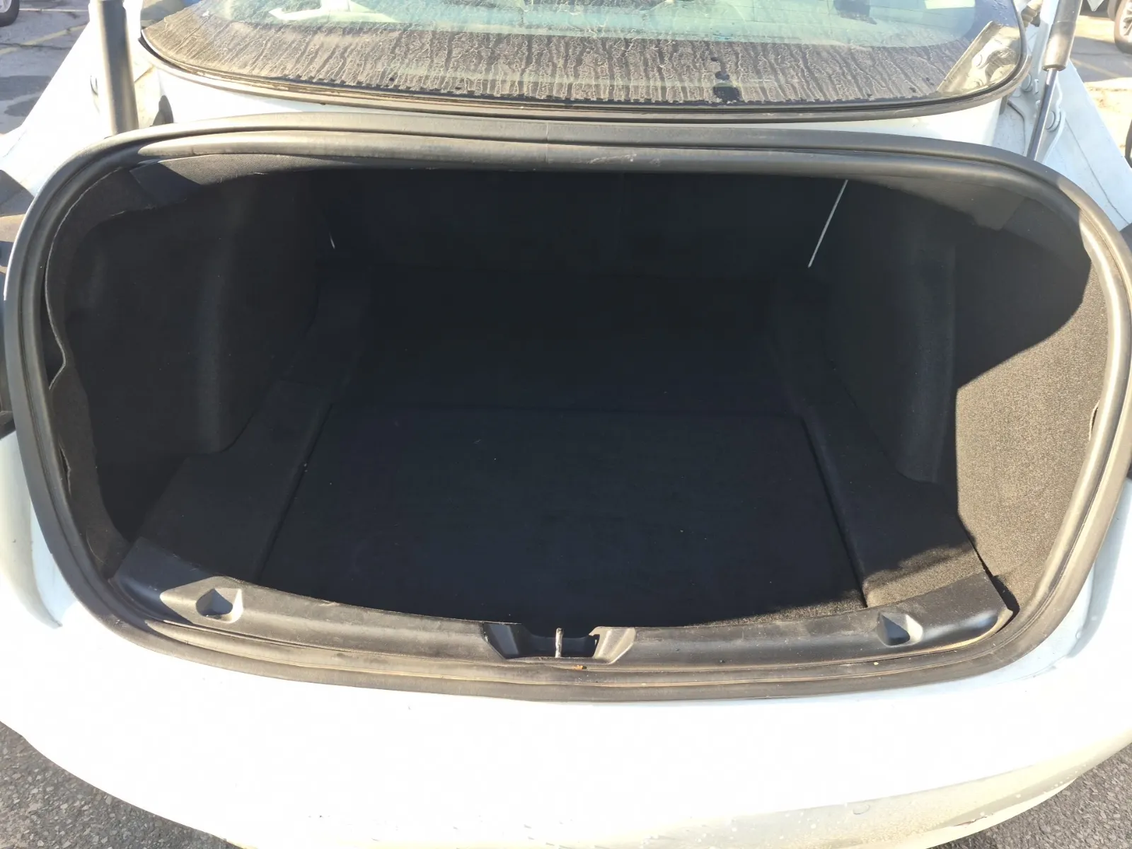 Cargo Area Photo