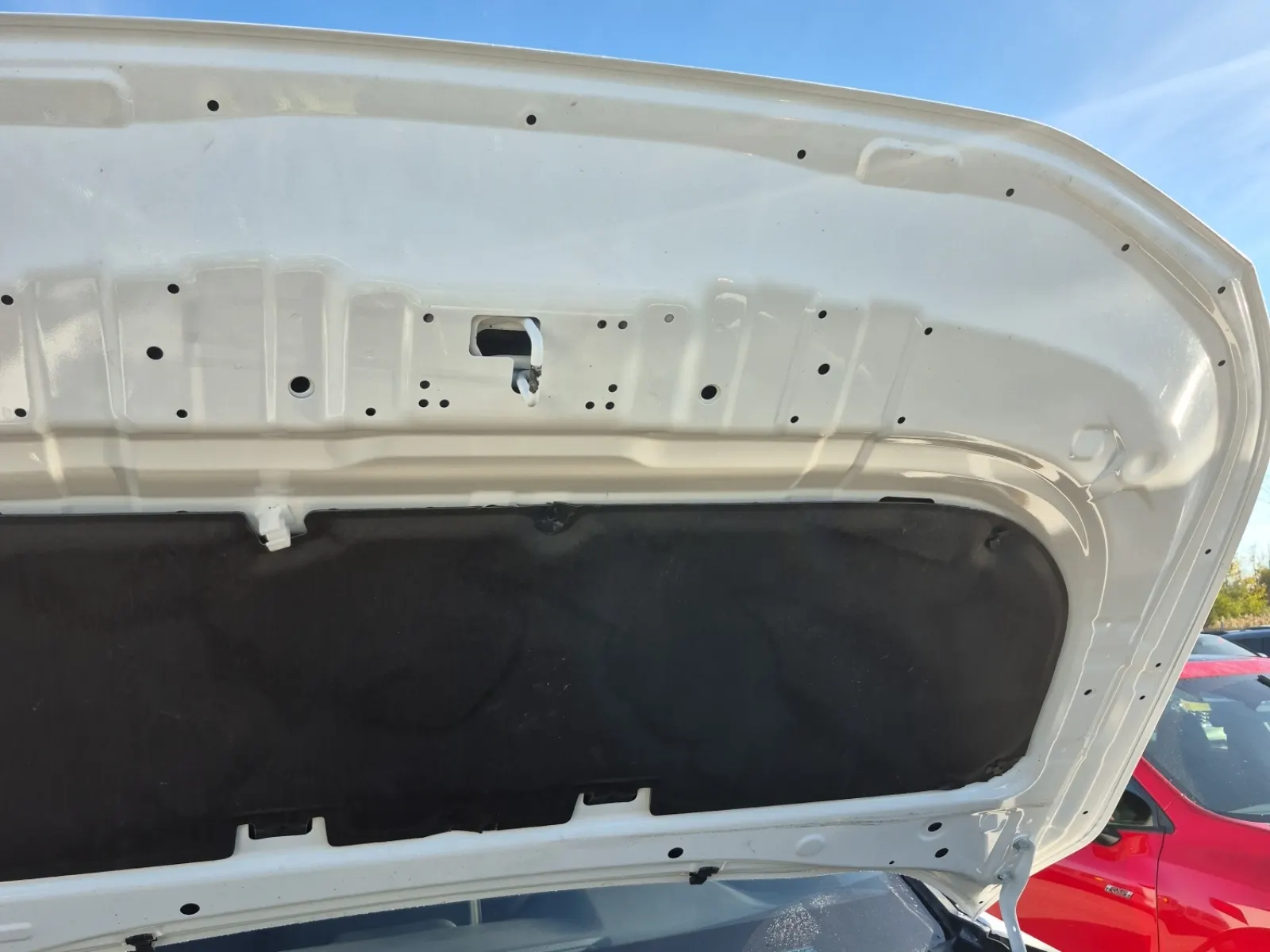 Emission Sticker Photo