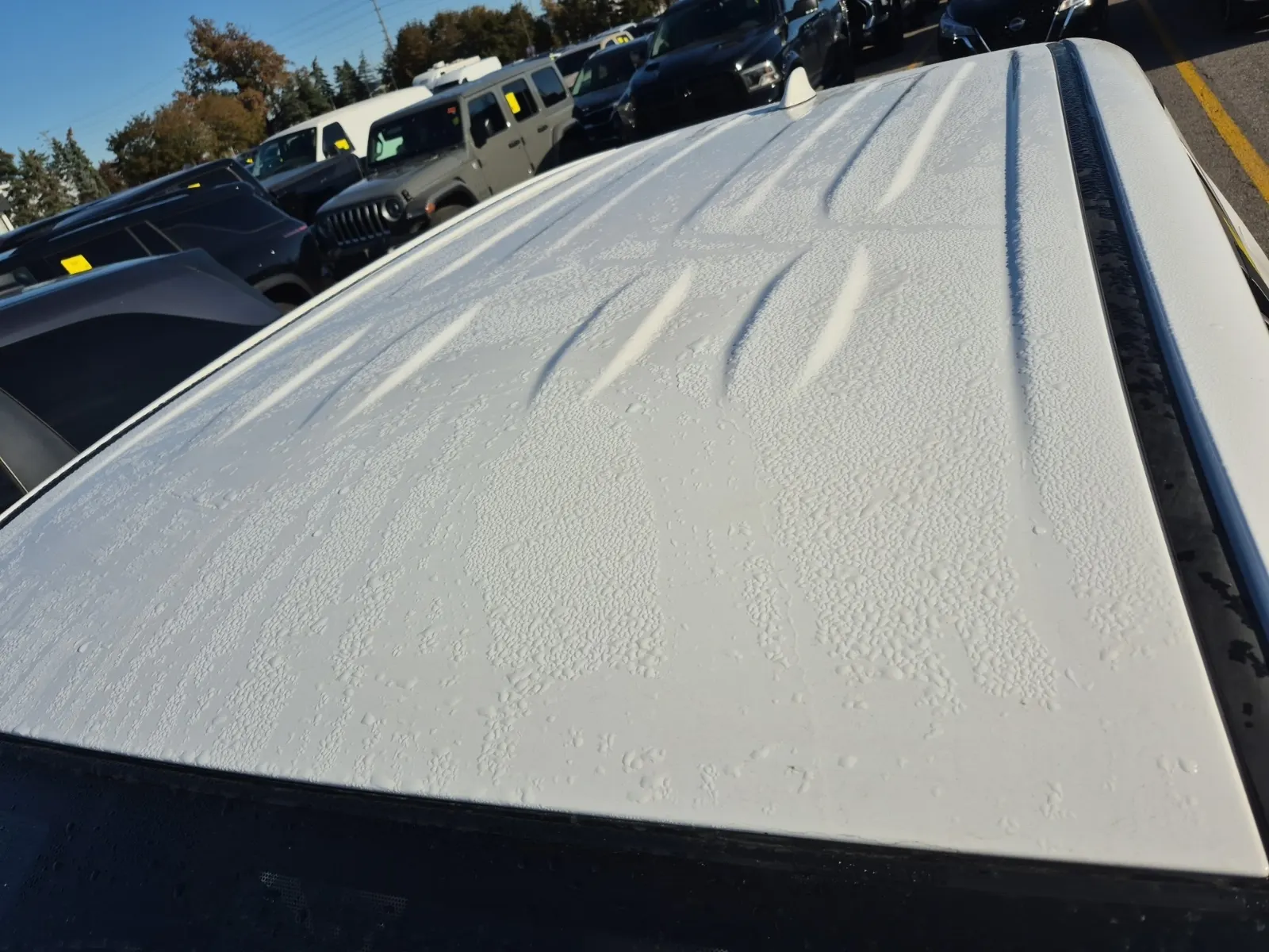 Exterior Roof Photo