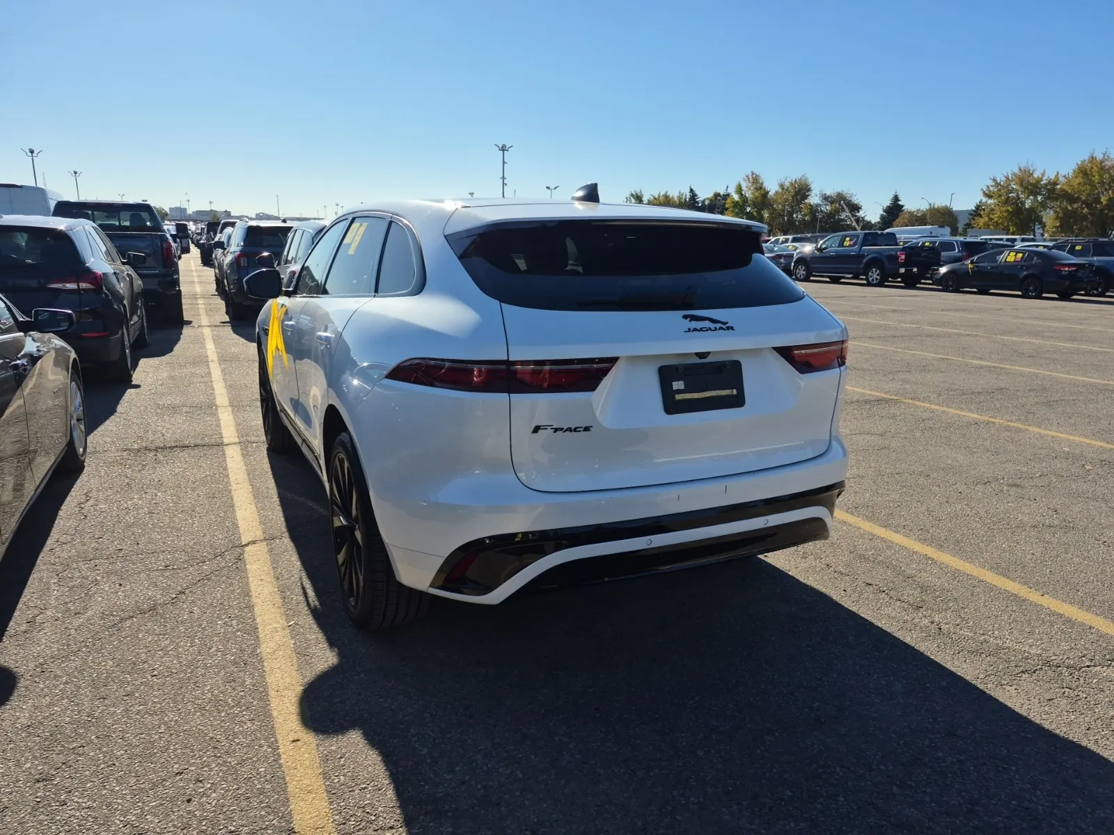 Driver Rear 3/4 Photo