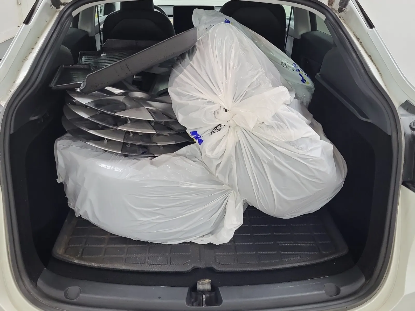 Cargo Area Photo