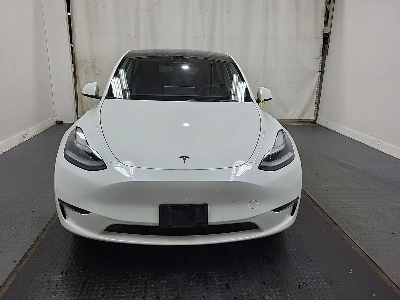 Full Front Photo