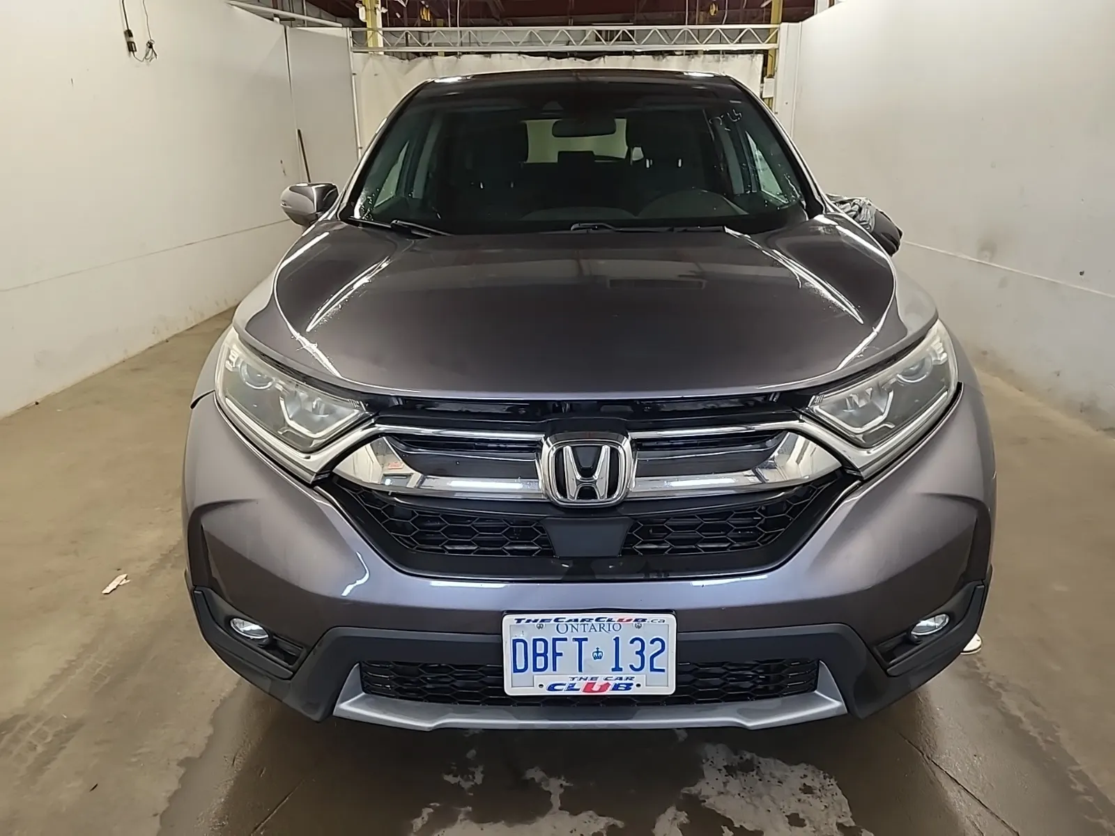 Full Front Photo