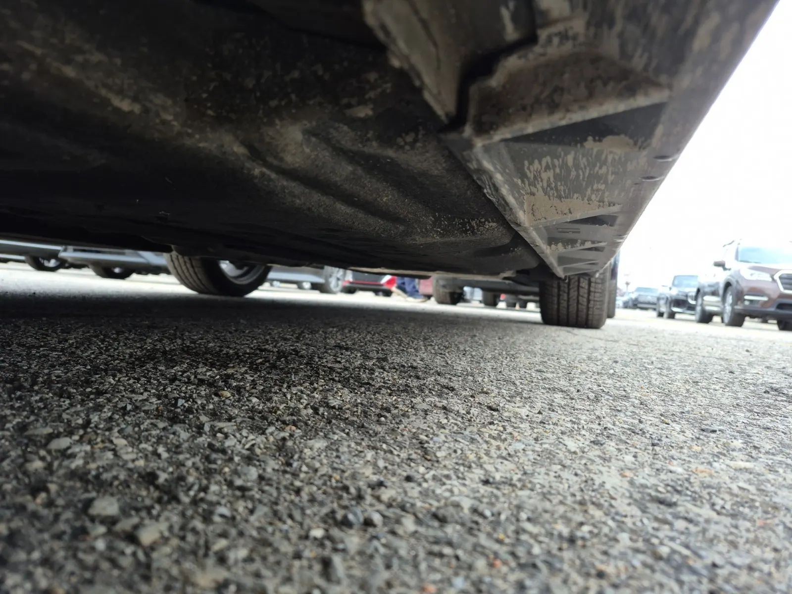 Undercarriage - Driver Photo