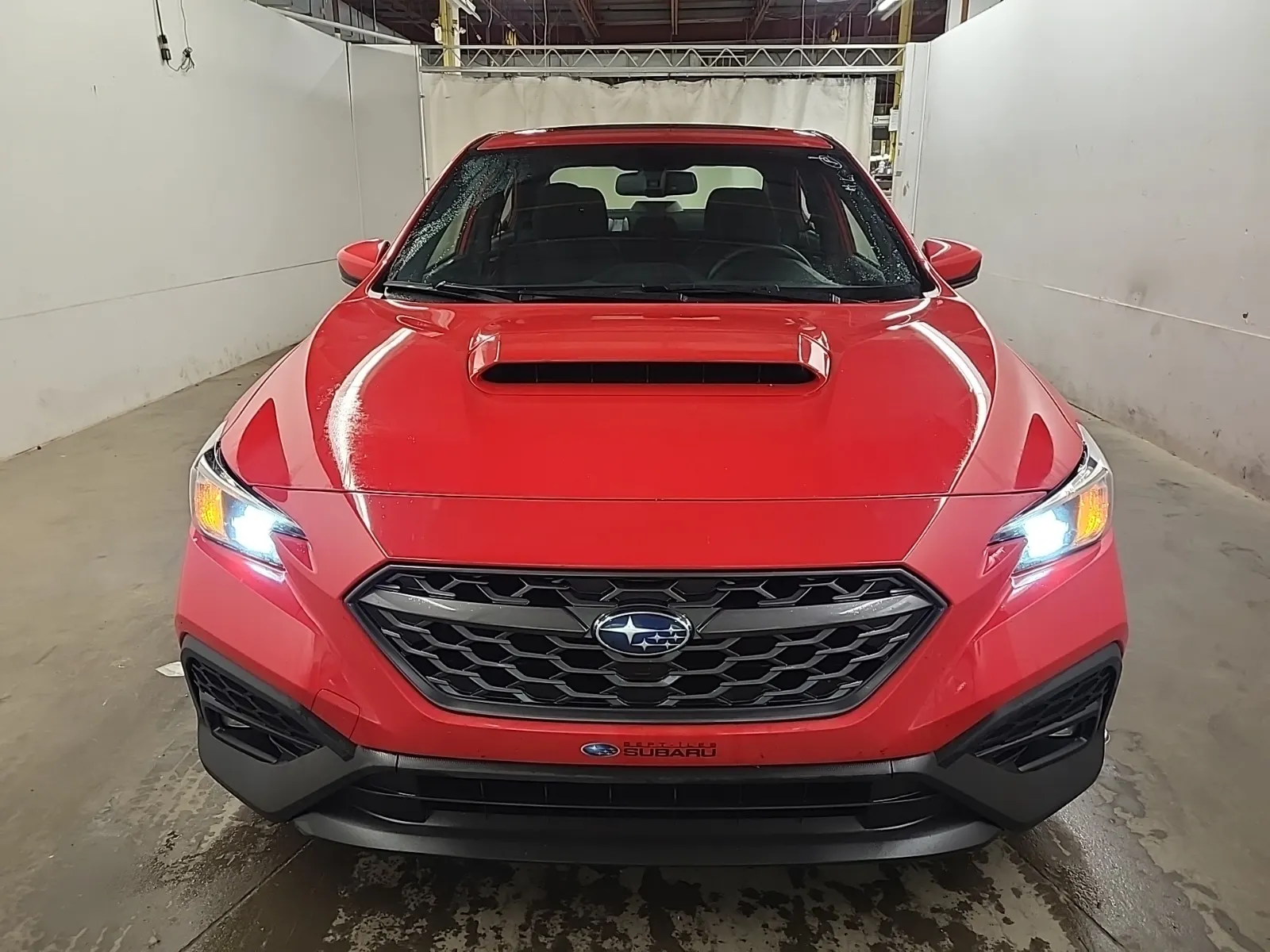 Full Front Photo