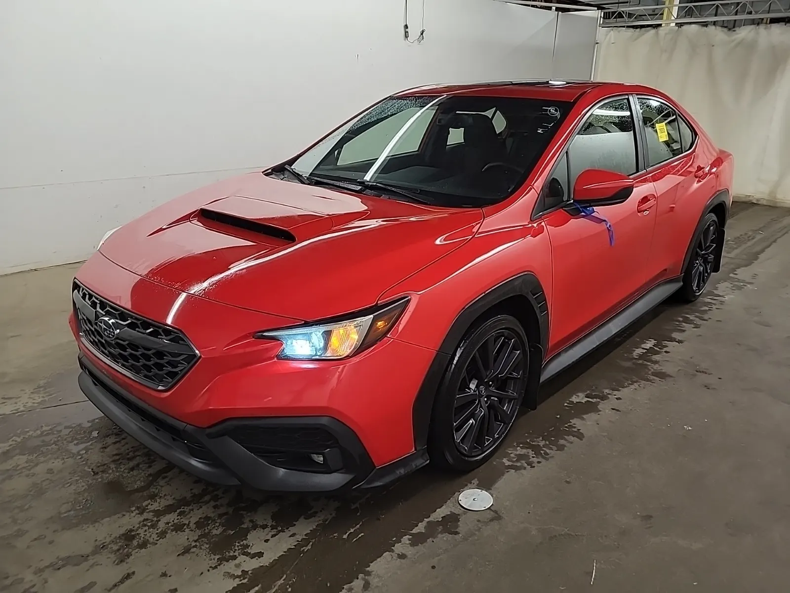 2023 Subaru WRX