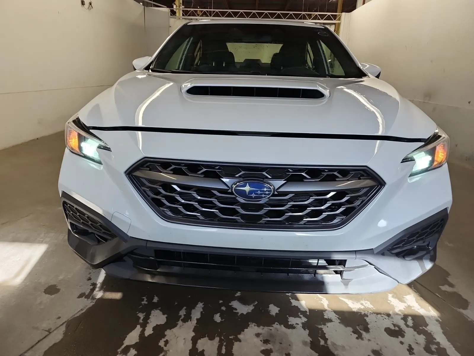 Full Front Photo