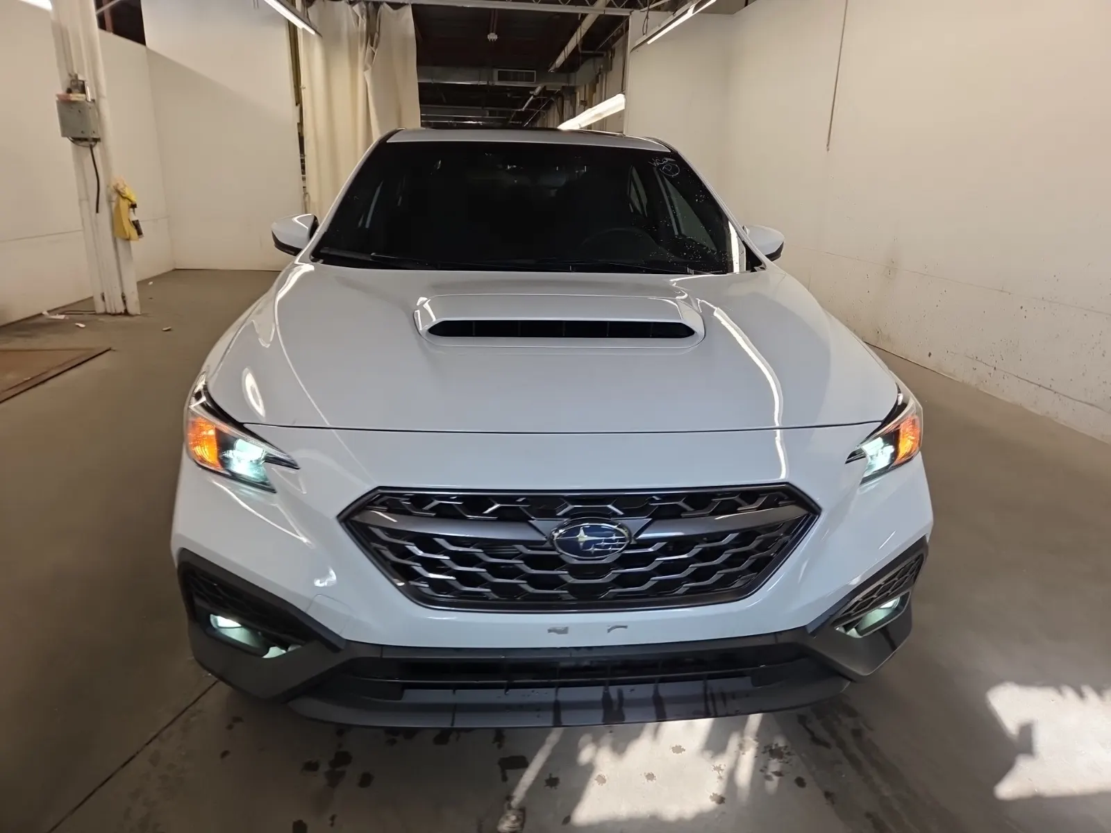 Full Front Photo