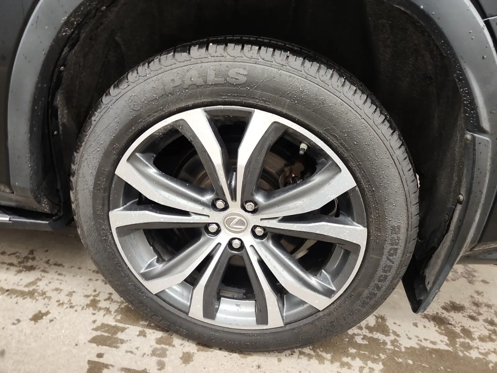 Left Rear Wheel/Tire Photo