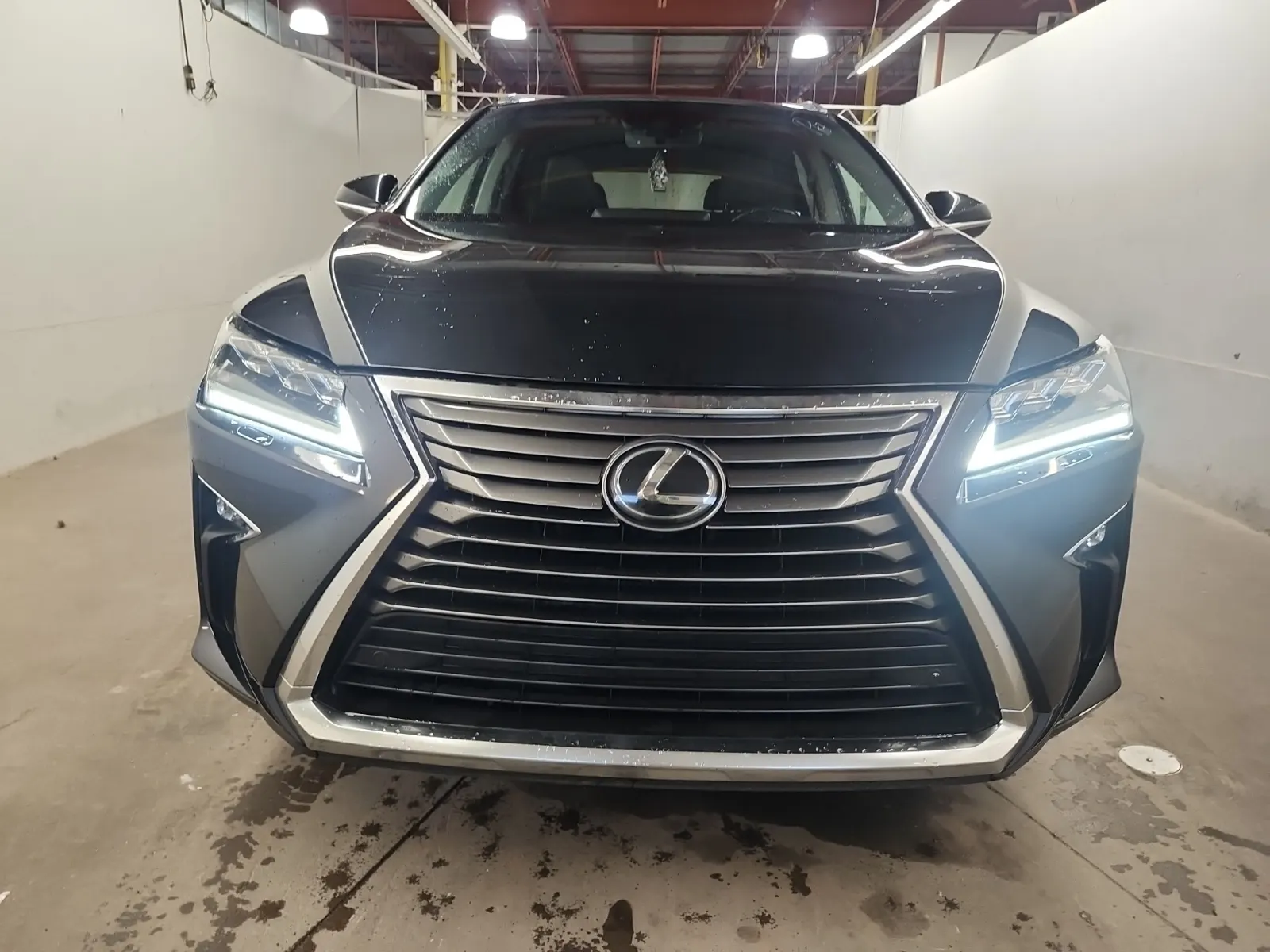 Full Front Photo