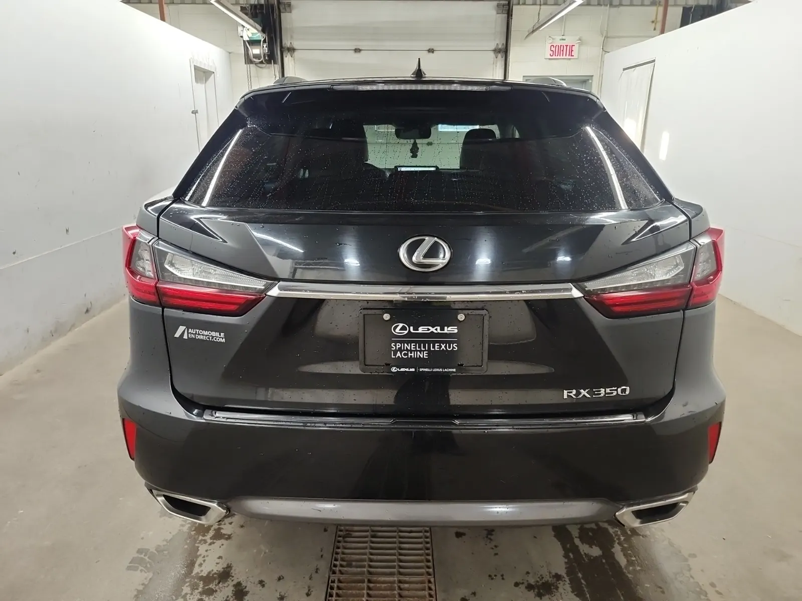 Full Rear Photo