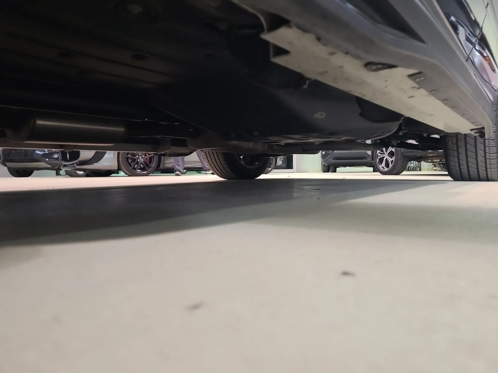 Undercarriage - Driver Photo