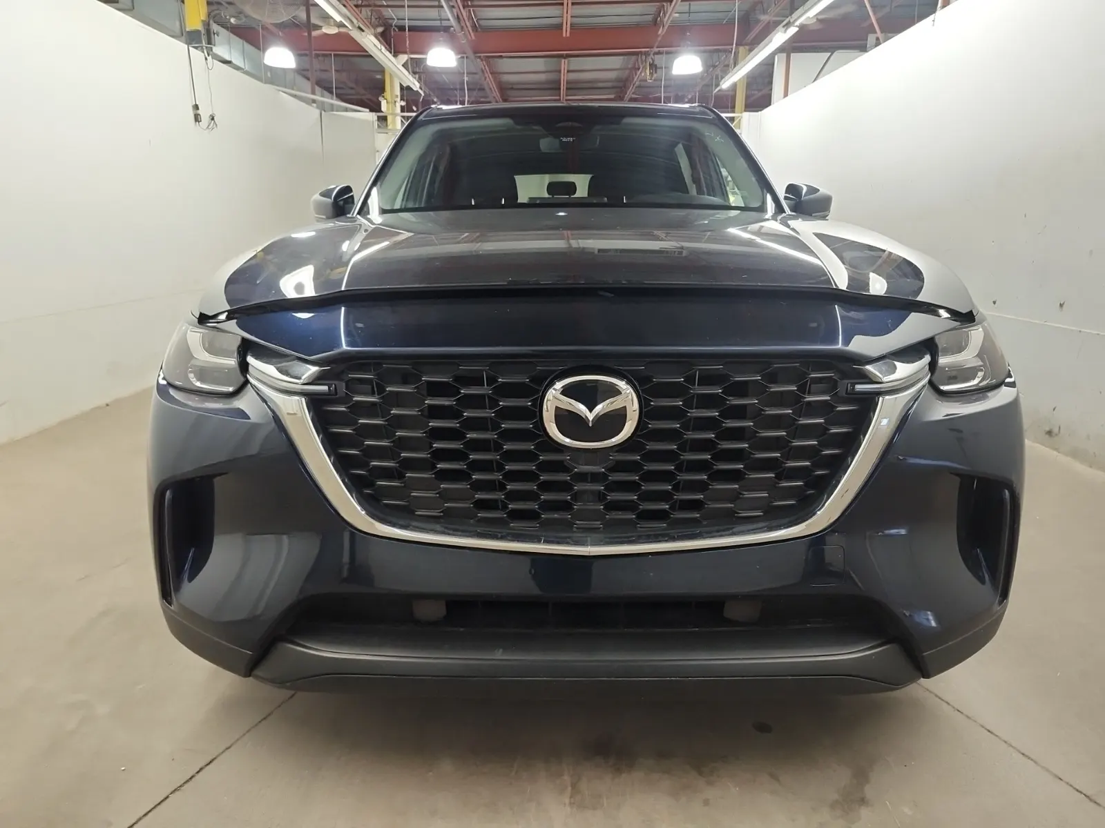 Full Front Photo