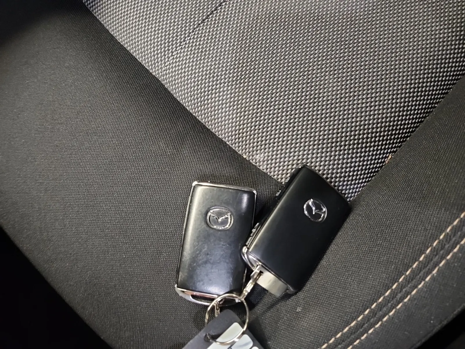 Keys/Fobs/Manual Photo