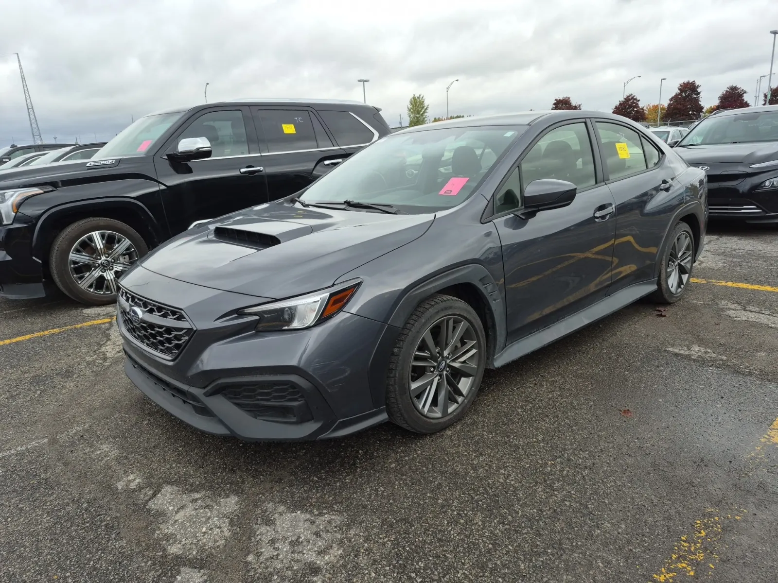 2024 Subaru WRX