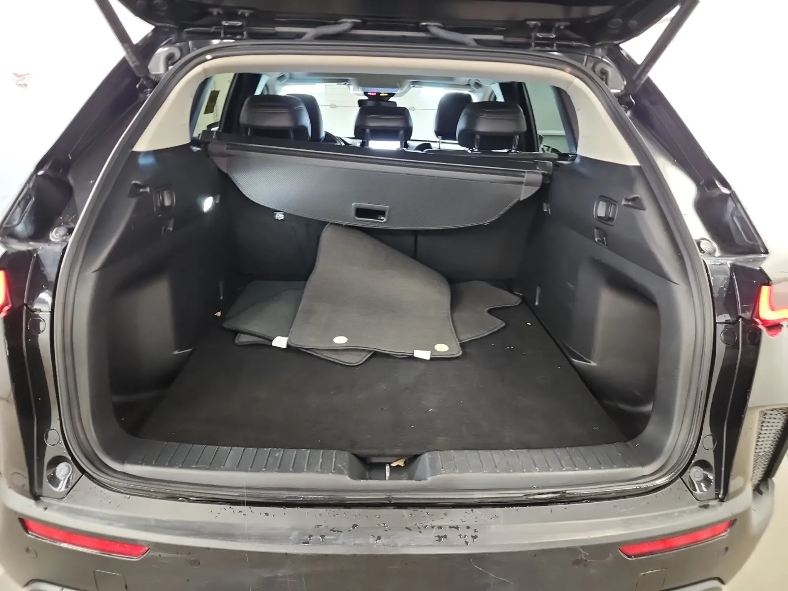 Cargo Area Photo