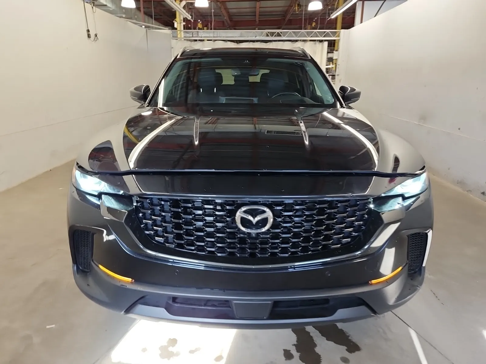 Full Front Photo