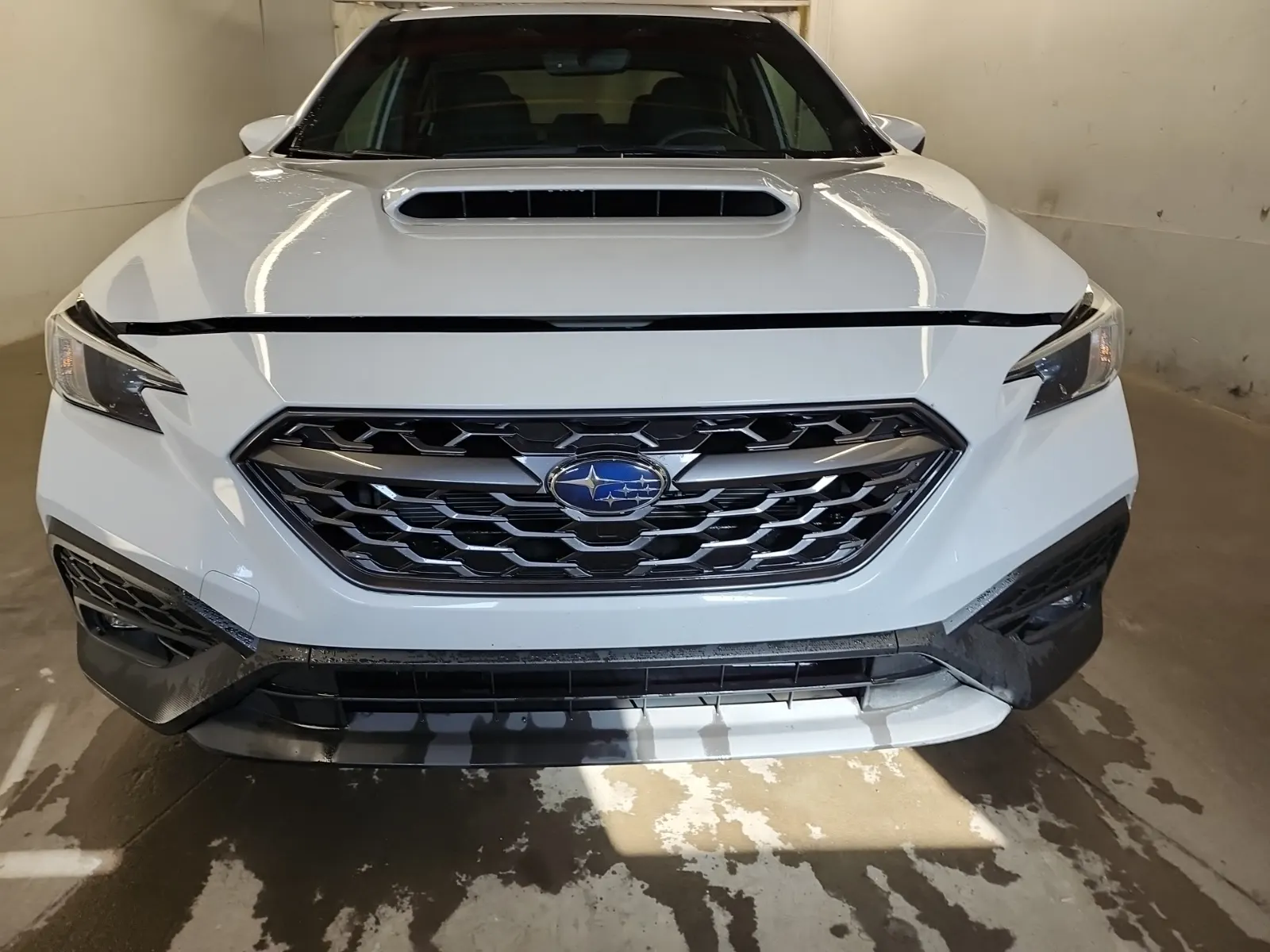 Full Front Photo