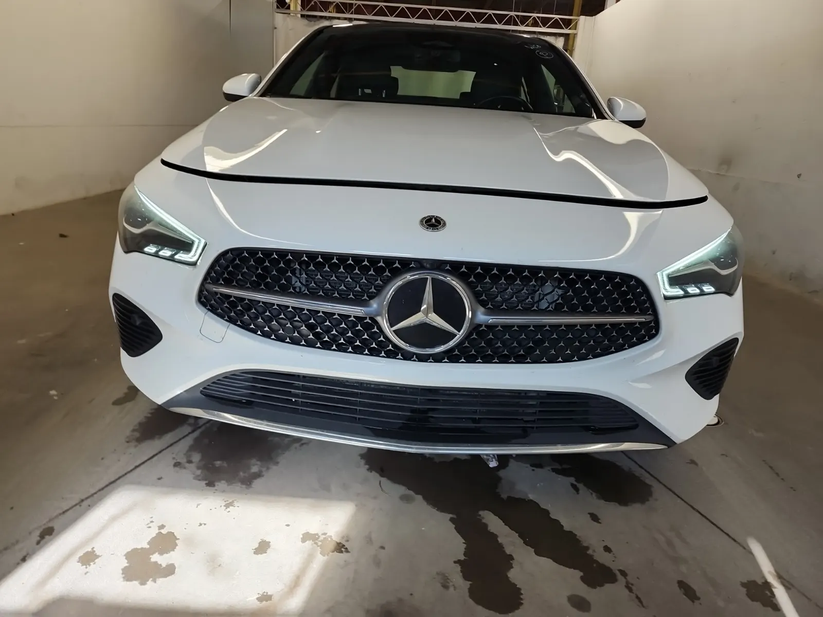 Full Front Photo