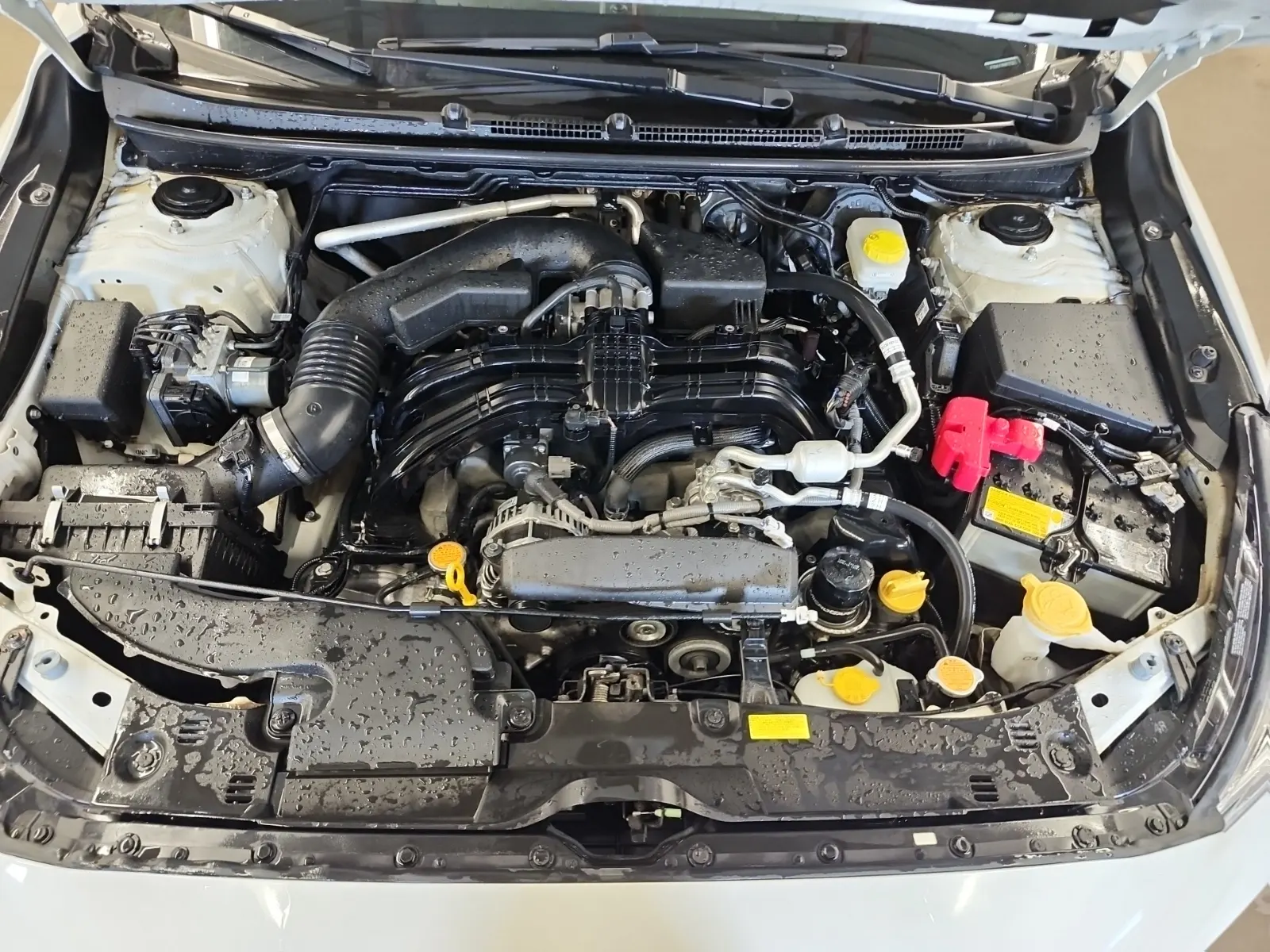 Engine Photo