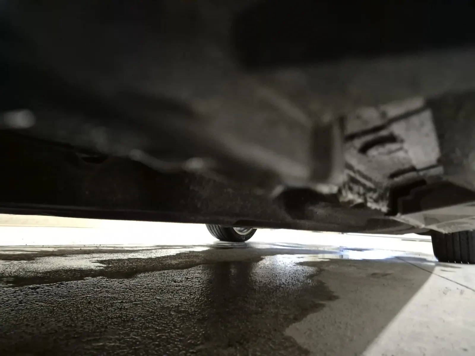 Undercarriage - Driver Photo