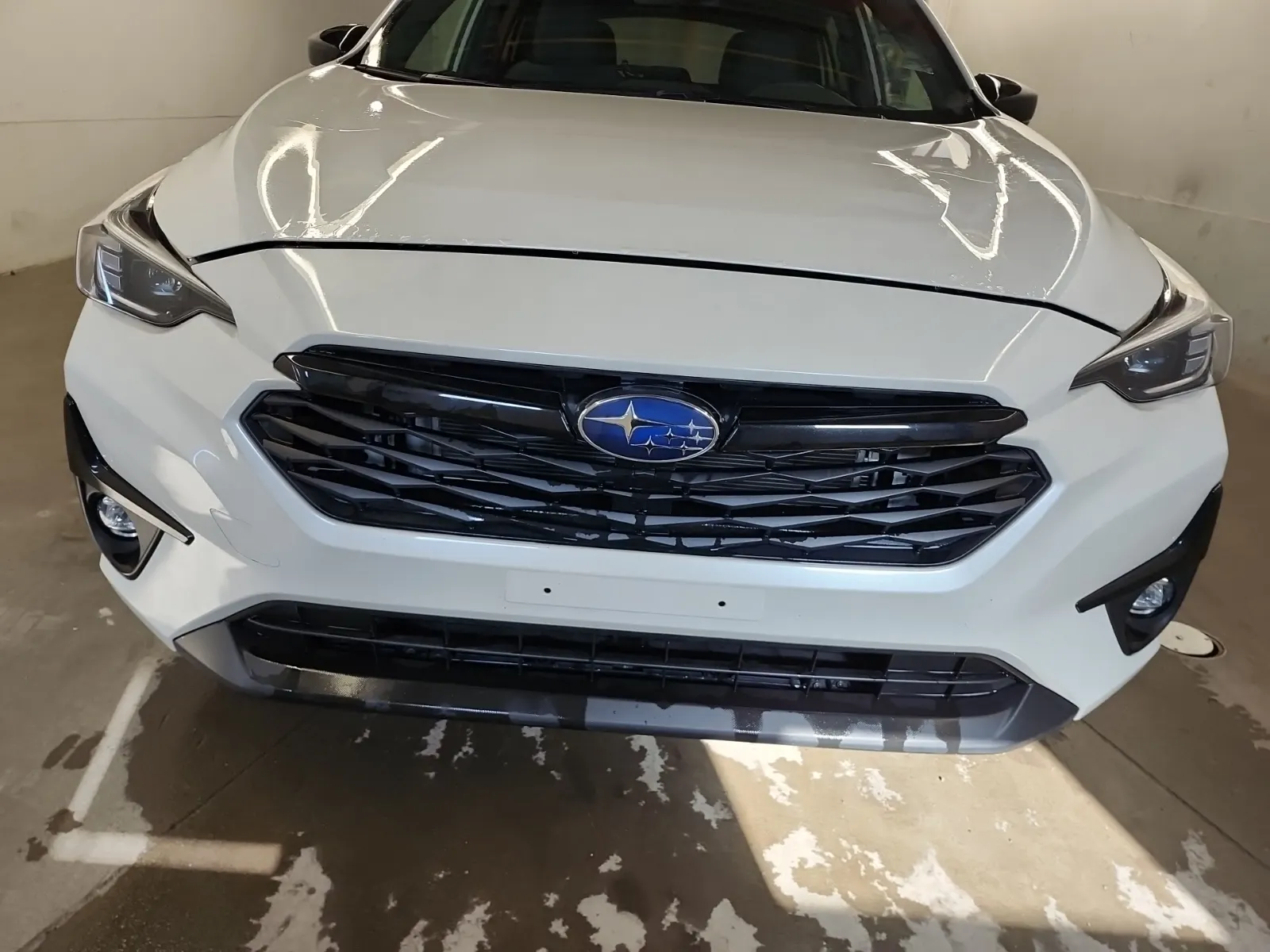 Full Front Photo