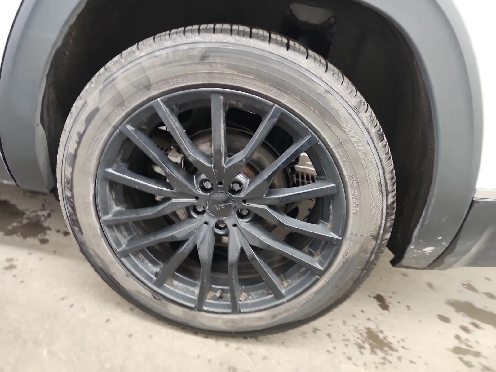 Left Rear Wheel/Tire Photo