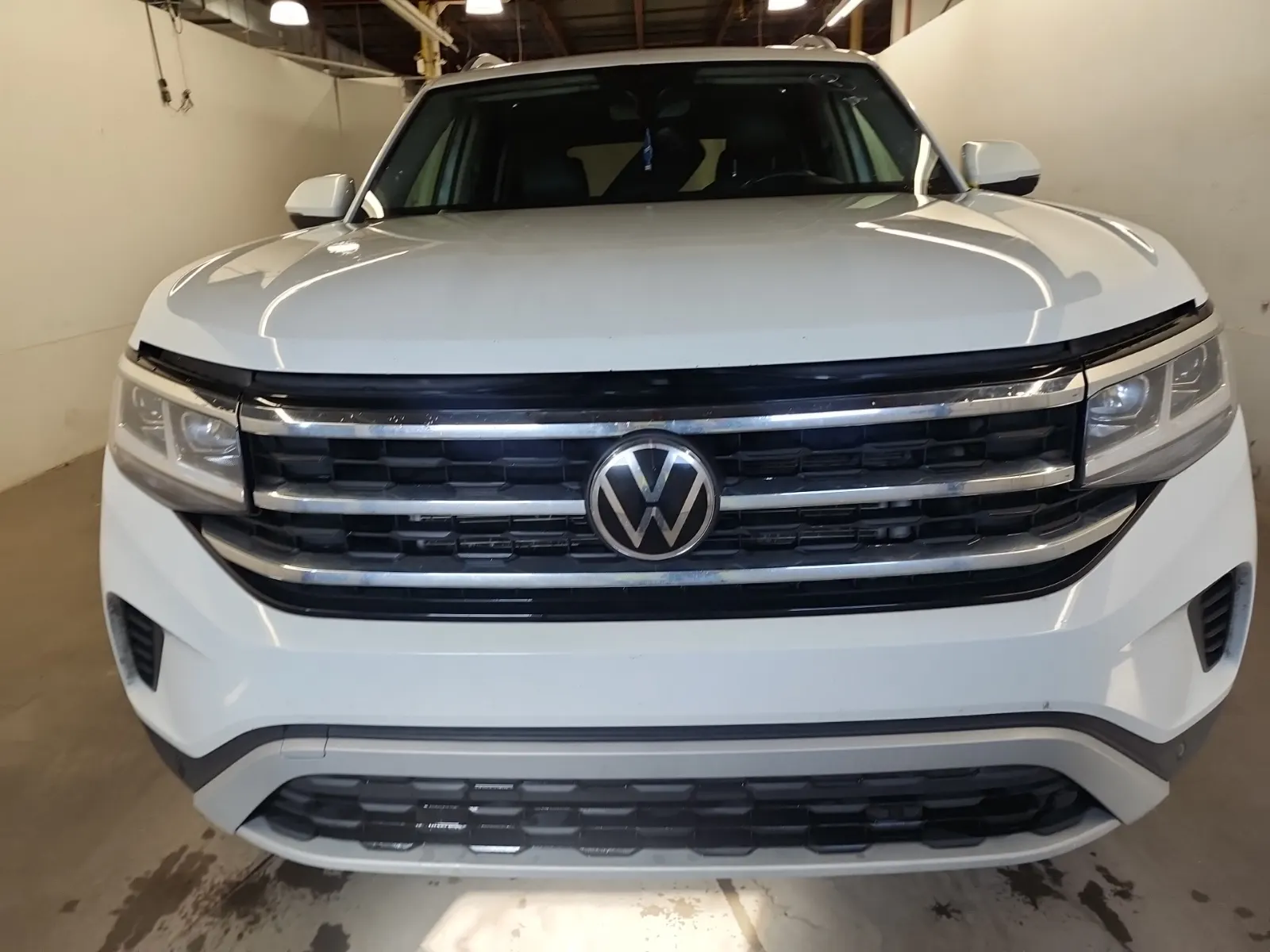 Full Front Photo