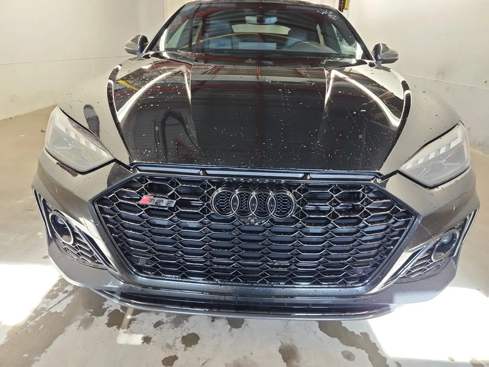 Full Front Photo