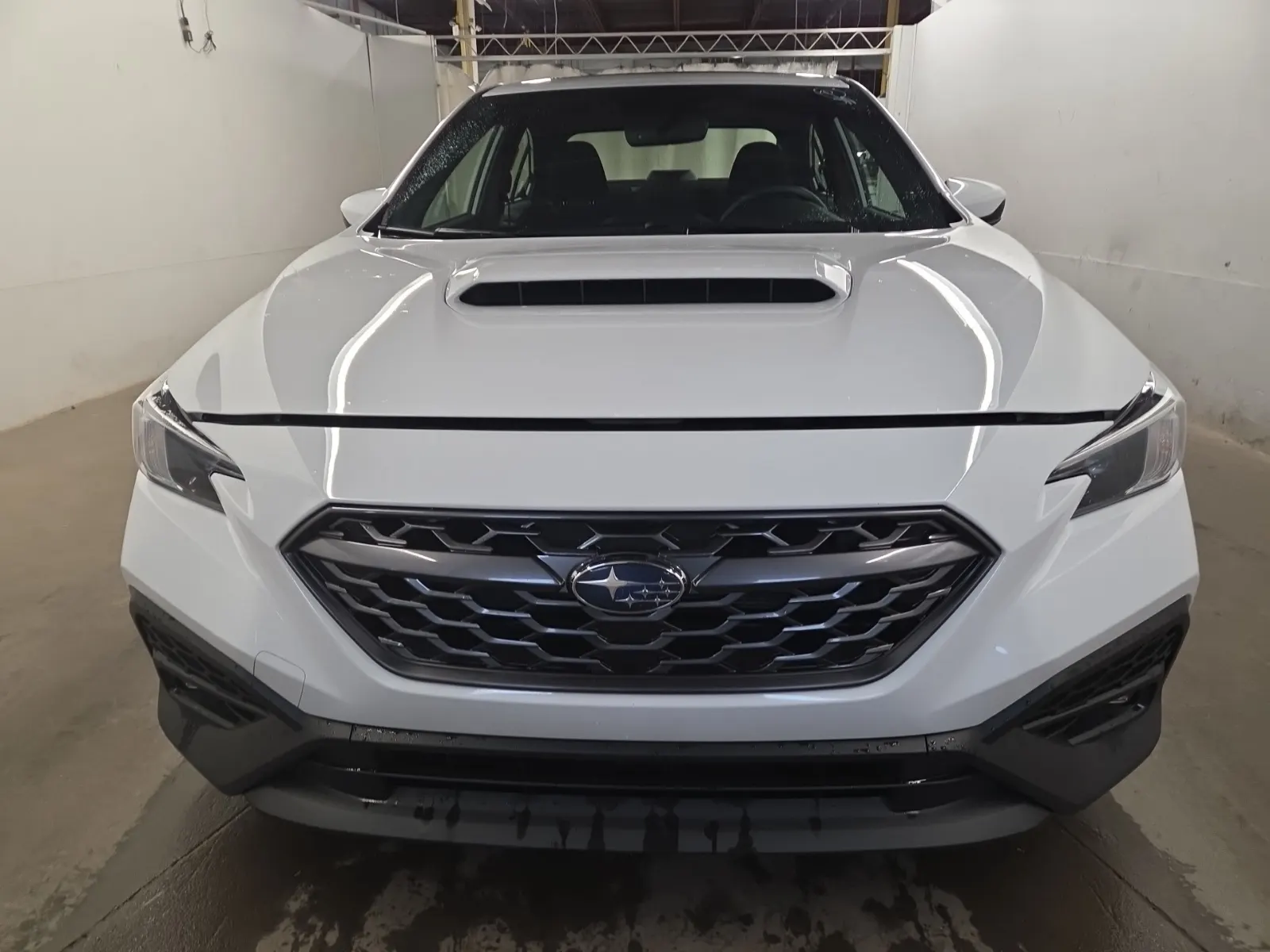 Full Front Photo
