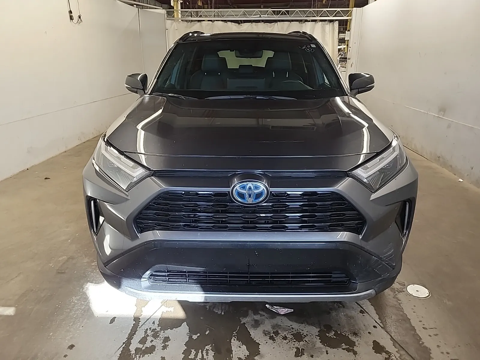 Full Front Photo